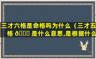 三才六格是命格吗为什么（三才五格 🐞 是什么意思,是根据什么算出来的）
